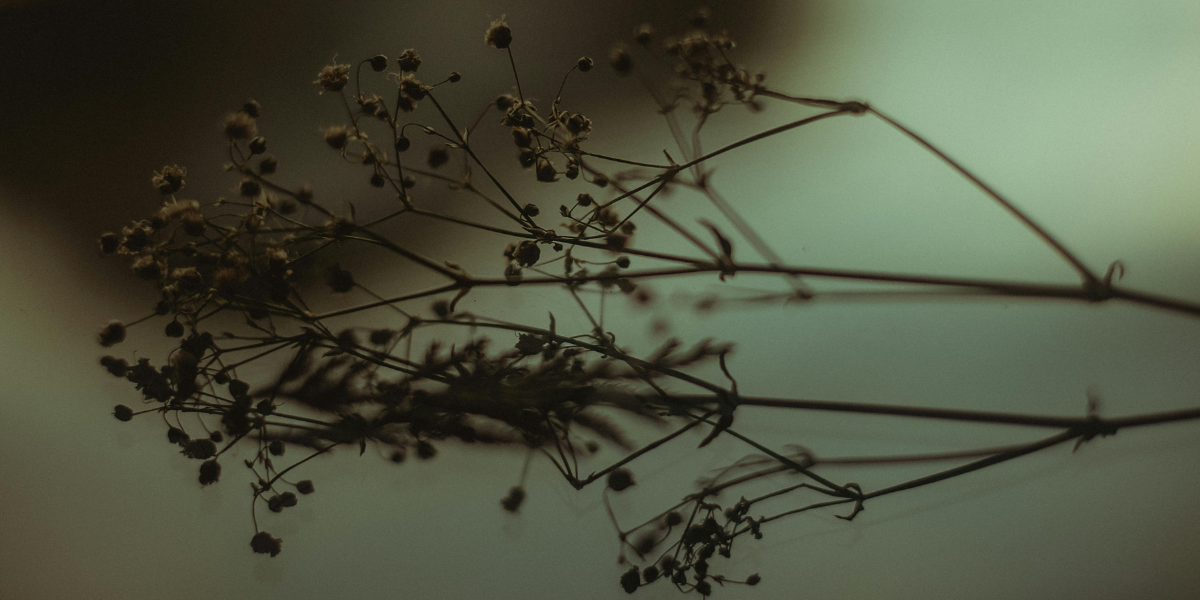 Fleurs