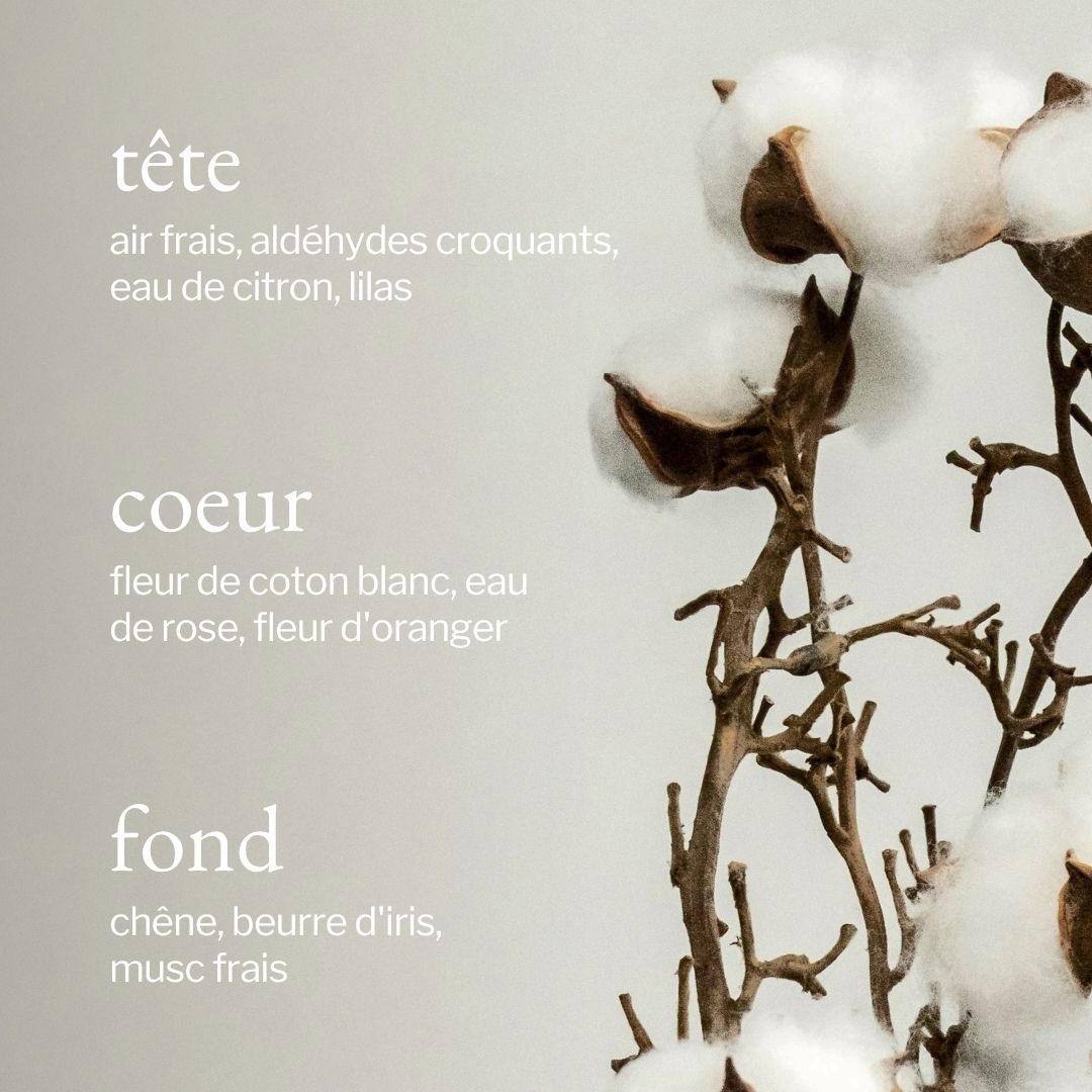 parfum de coton blanc et linge frais SOJA&CO.