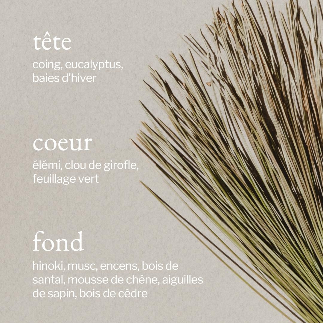 parfum de écorce de pin et cèdre SOJA&CO.