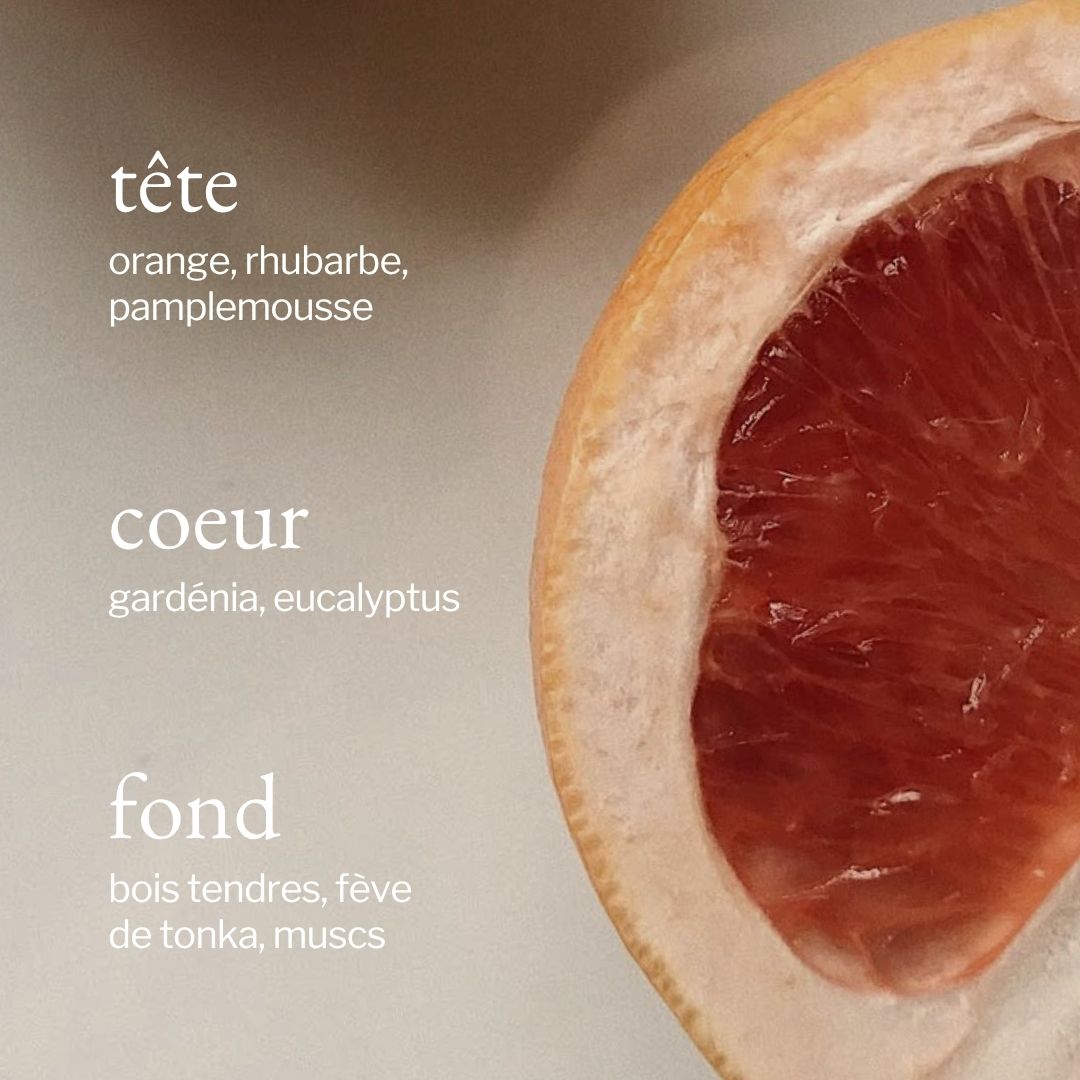 parfum de eucalyptus et pamplemousse SOJA&CO.