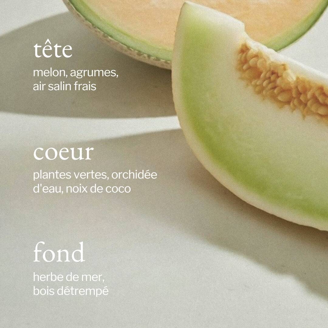 parfum de melon et air salin SOJA&CO.