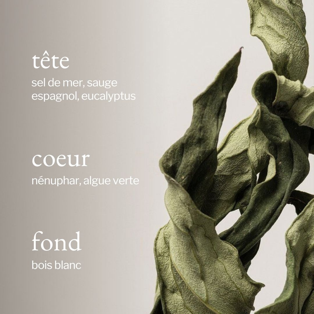 parfum de sauge et sel de mer SOJA&CO.