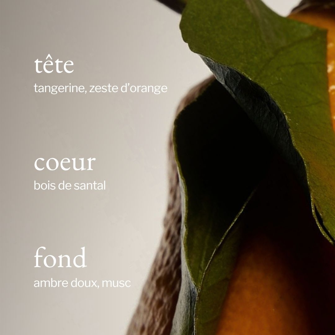 parfum de tangerine, santal et ambre SOJA&CO.