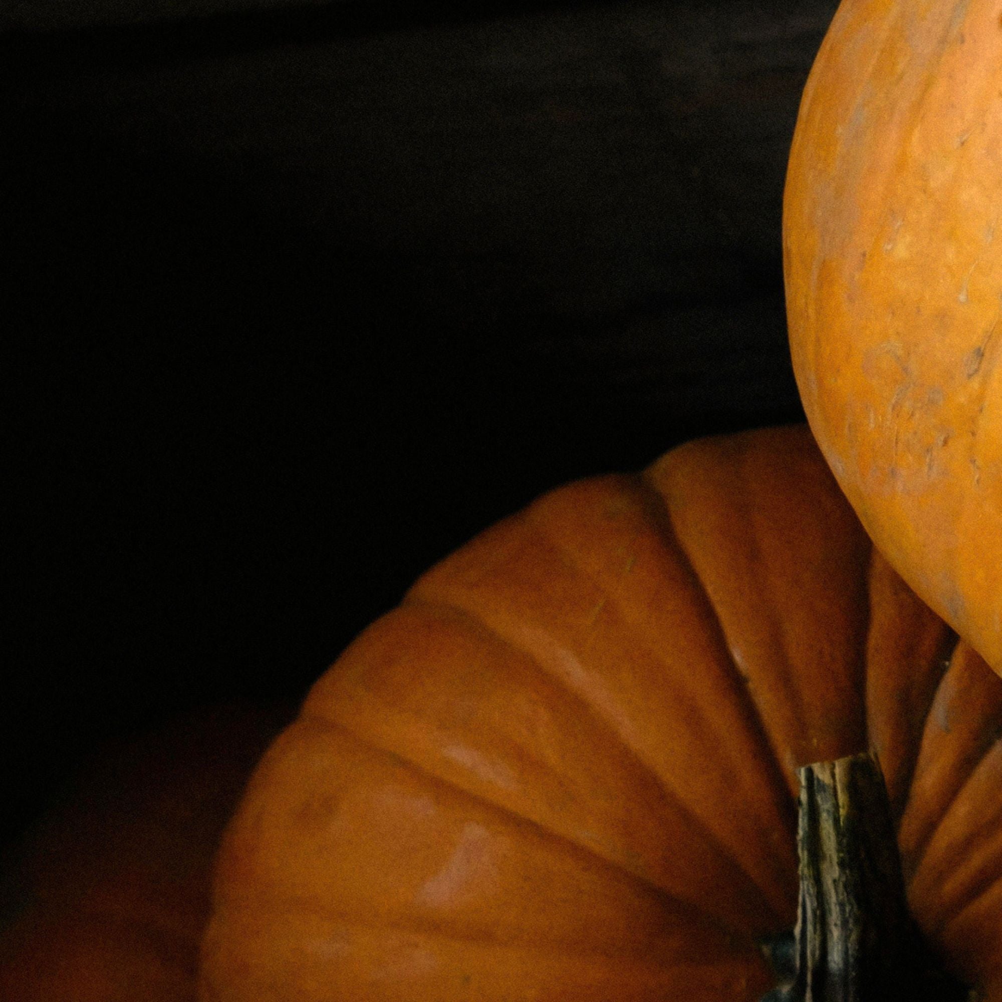 Bois de Hô + Citrouille SOJA&CO.