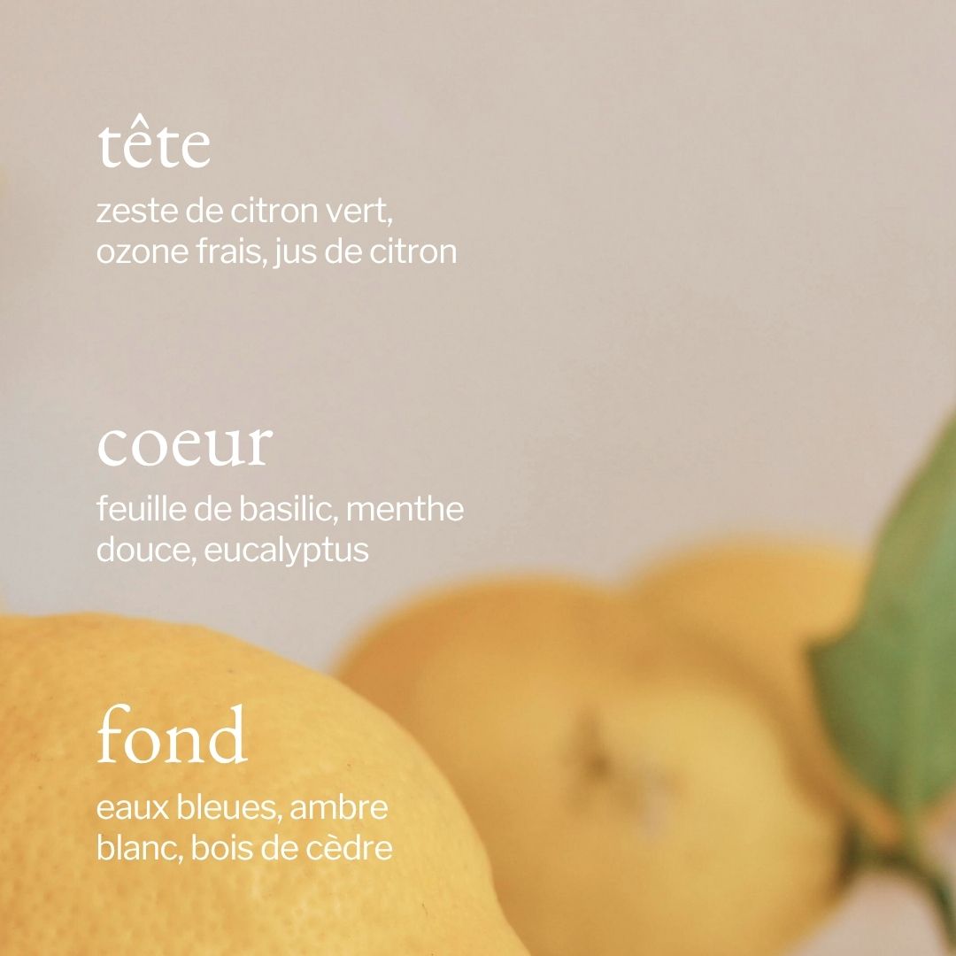 parfum de citron SOJA&CO.