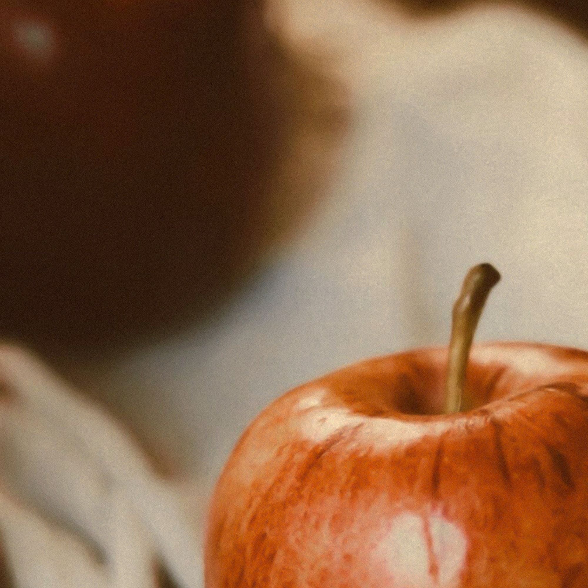 Fragrance Oud + Pomme SOJA&CO.