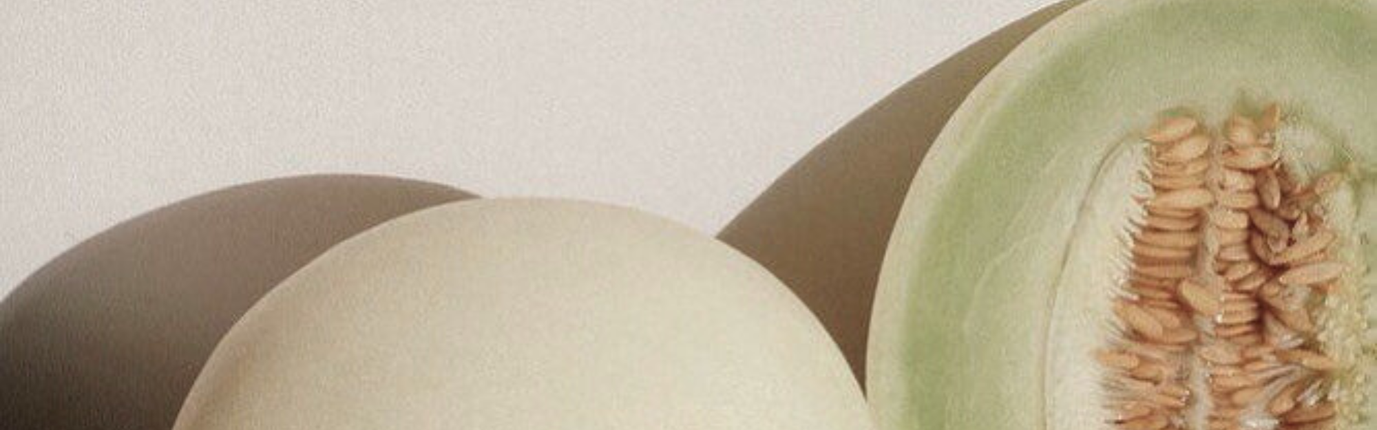 Melon et Air Salin SOJA&CO.