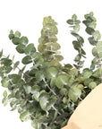Bouquet d'eucalyptus séché - SOJA&CO. ™
