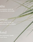 Notes fragrance bougie Citronnelle + Eucalyptus - SOJA&CO.