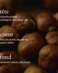 Diffuseur à roseaux | Noisette, Sapin & Suède - SOJA&CO.