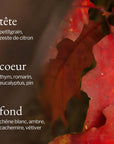 Diffuseur à roseaux | Ambre + Chêne - SOJA&CO.®
