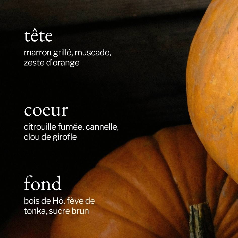 Diffuseur à roseaux | Bois de Hô + Citrouille - SOJA&CO.®