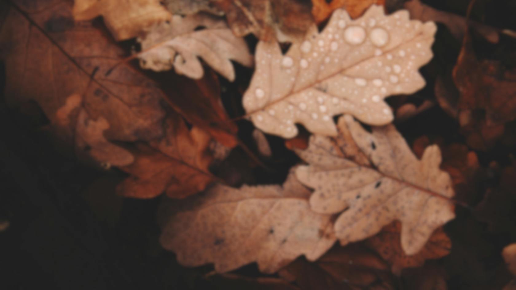 Décoration automne : 10 idées tendances avec nos bougies parfumées