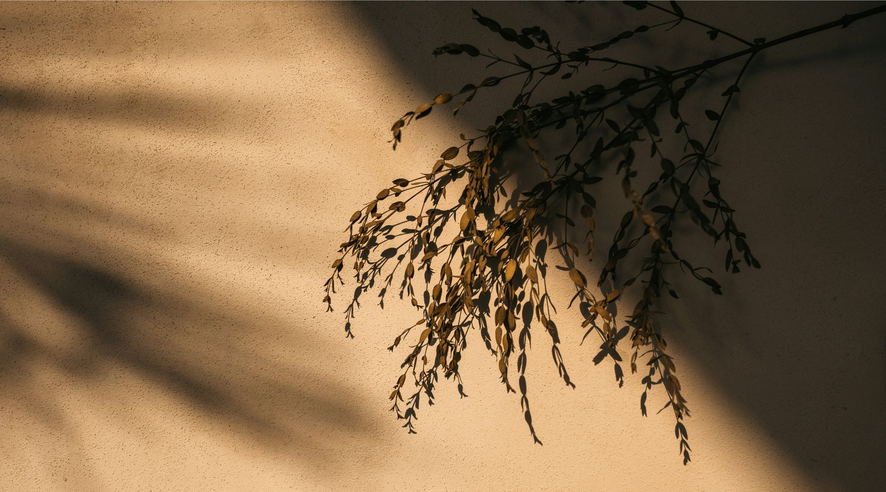 Spring collection SOJA&CO.