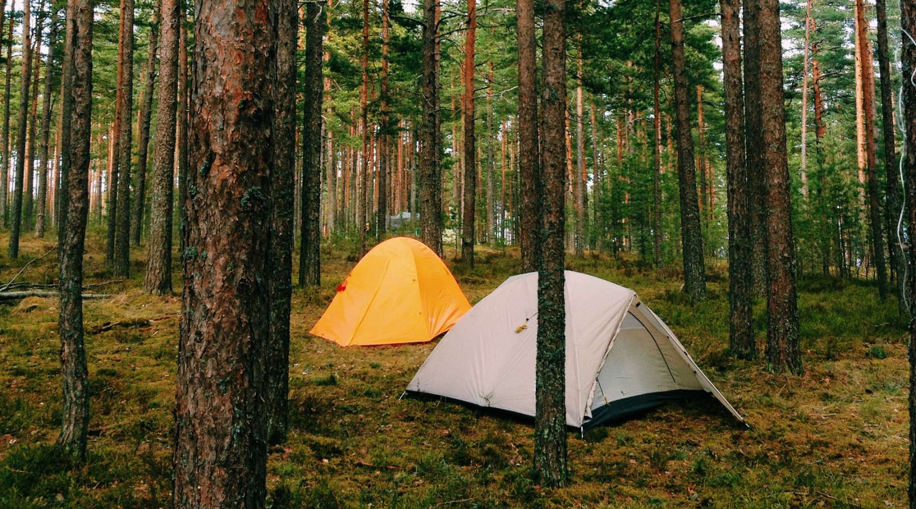 Camping en nature : 6 essentiels pour une escapade réussie!