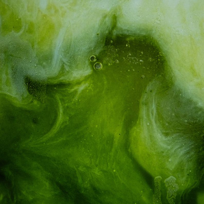 Matcha + Épices