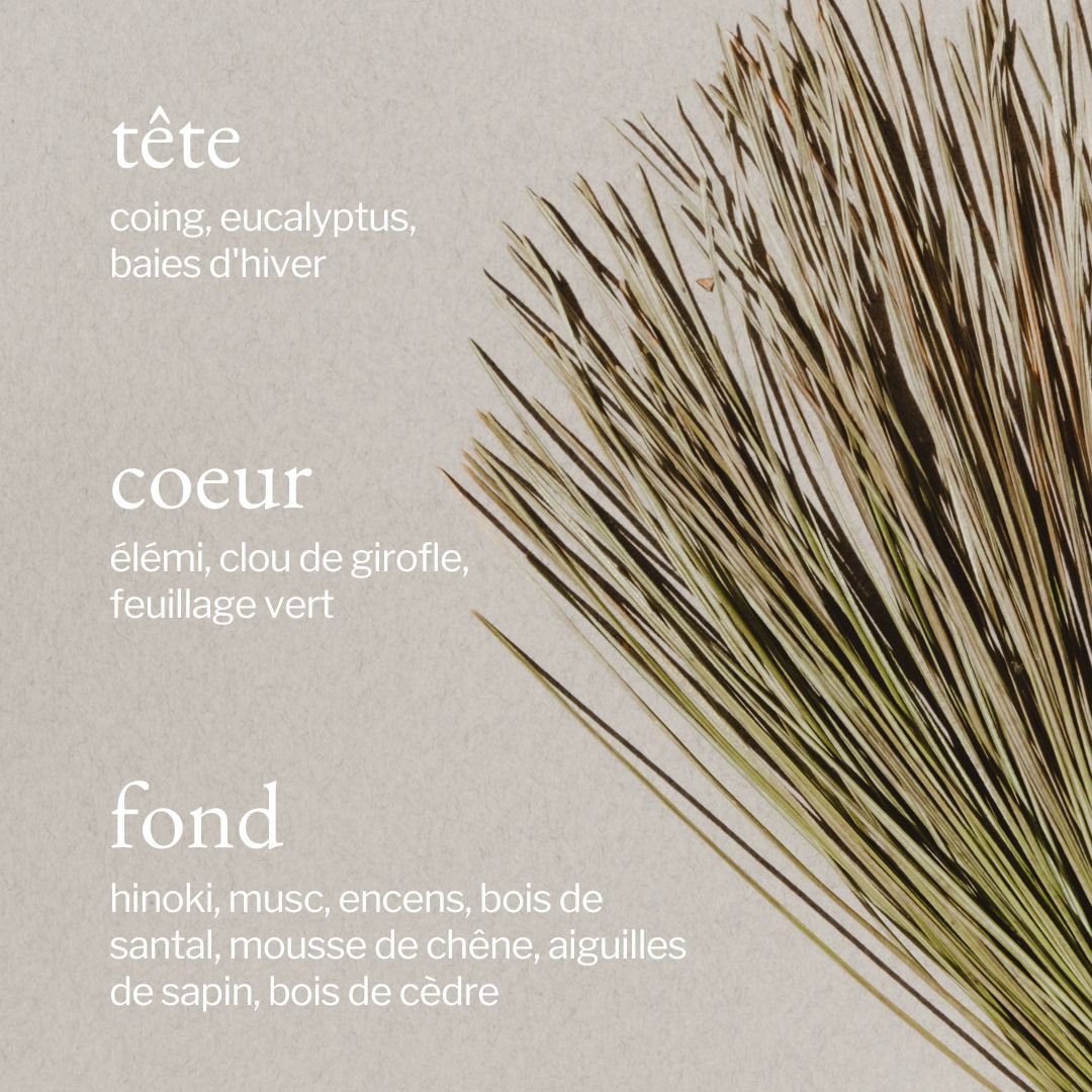 Bougie Flambeau | Écorce de pin + Cèdre - SOJA&CO.