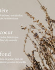 Reed Diffuser | Lavender, Sandalwood & Vanilla