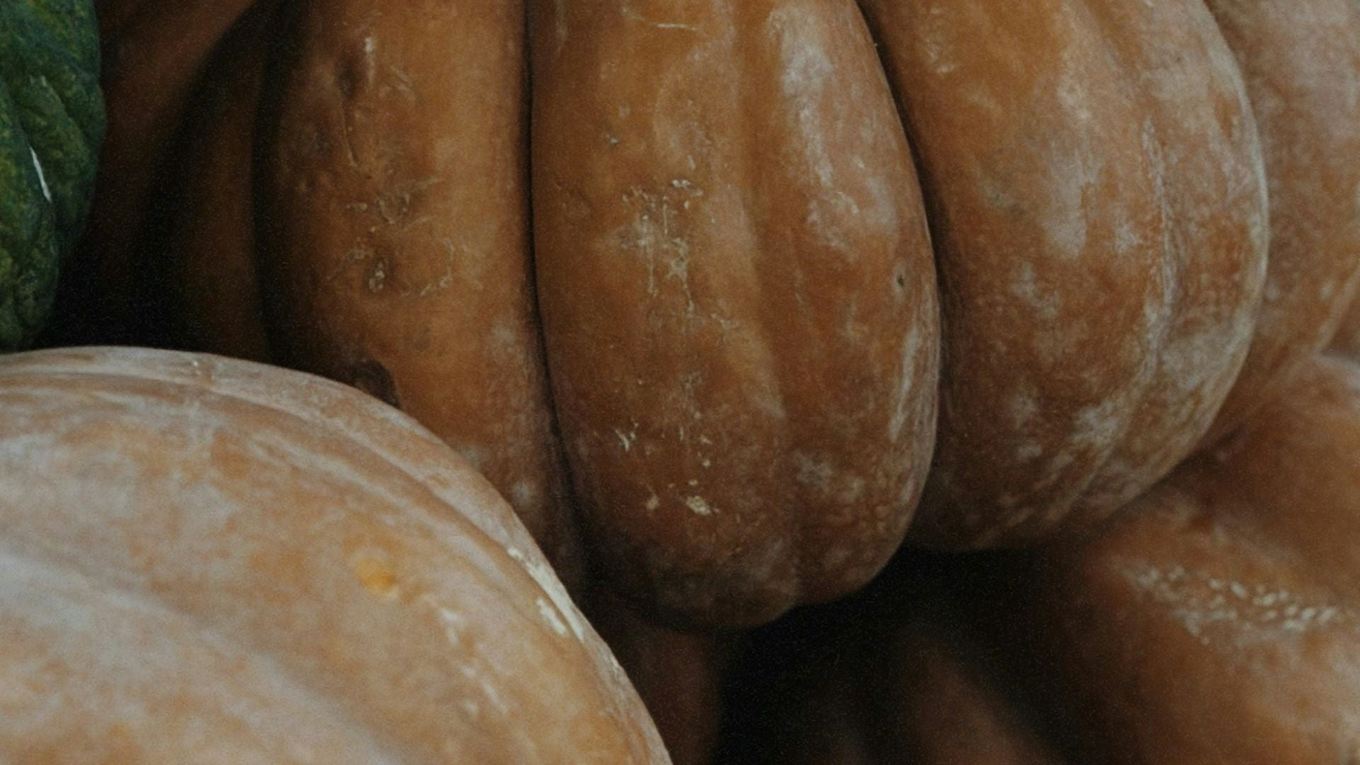 files/bois-de-ho-citrouille_60270c31-6f5c-45d4-8512-3c1573d3fb60.jpg