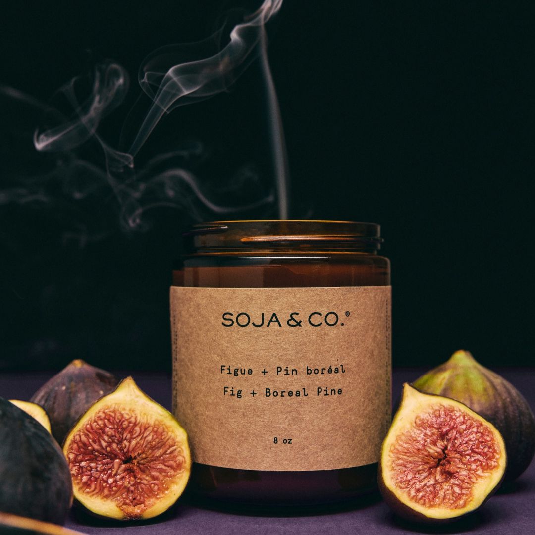 Bougie | Figue + Pin boréal - SOJA&CO.
