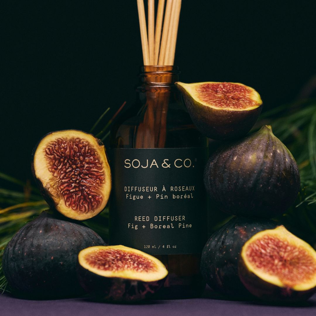 Diffuseur à roseaux | Figue + Pin boréal - SOJA&amp;CO.