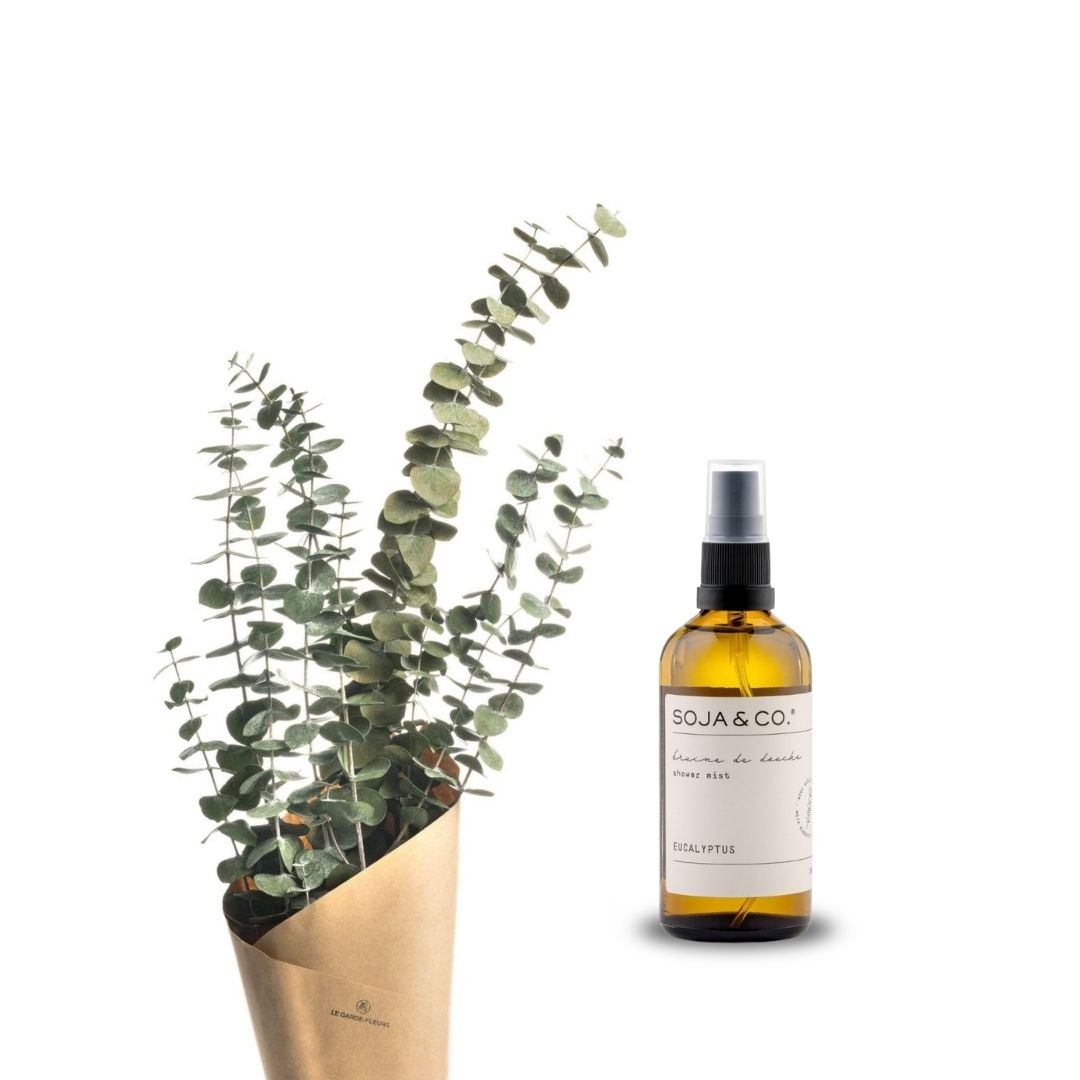 Bruine et bouquet | Eucalyptus - SOJA&CO.®