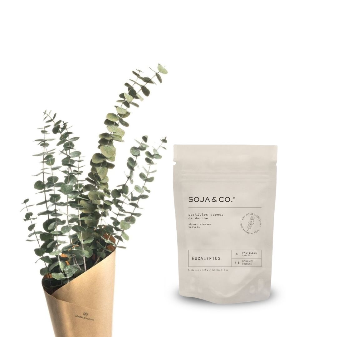 Pastille de douche et bouquet | Eucalyptus - SOJA&CO.®