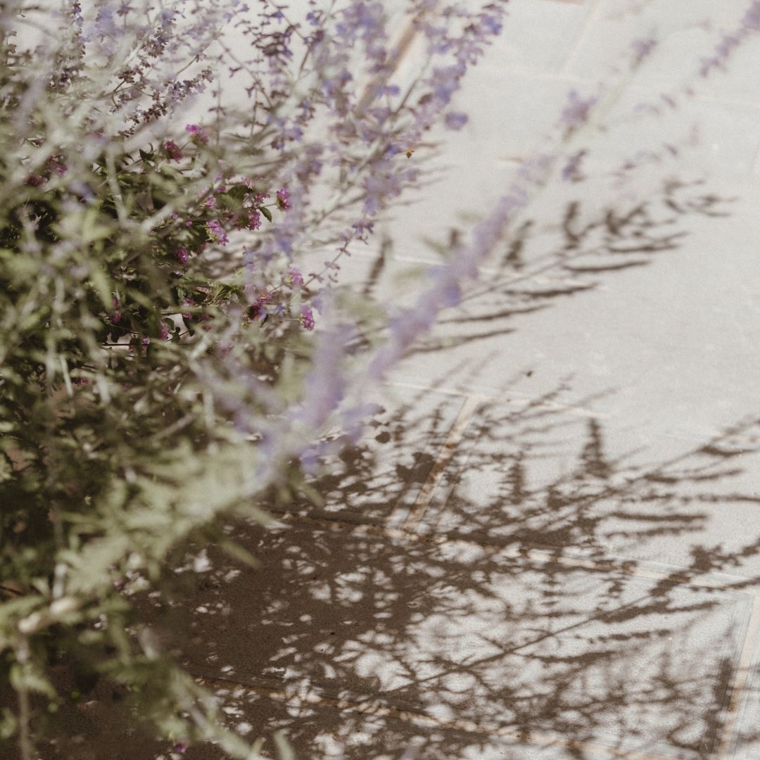 Liquid Hand Soap | Lavender, Sandalwood &amp; Vanilla