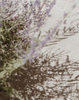 Liquid Hand Soap | Lavender, Sandalwood & Vanilla