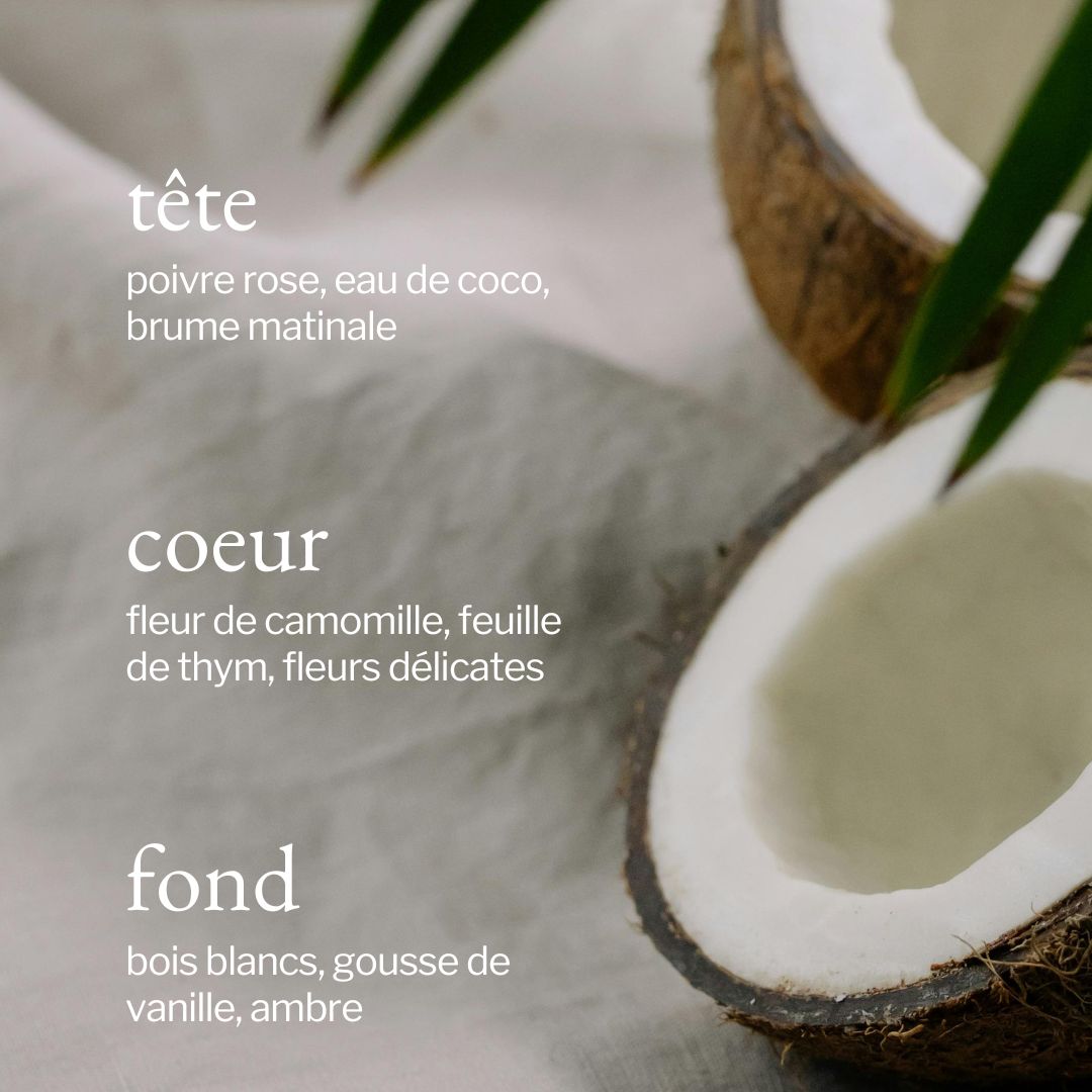 Duo cuisine | Thym + Coco - SOJA&CO.®