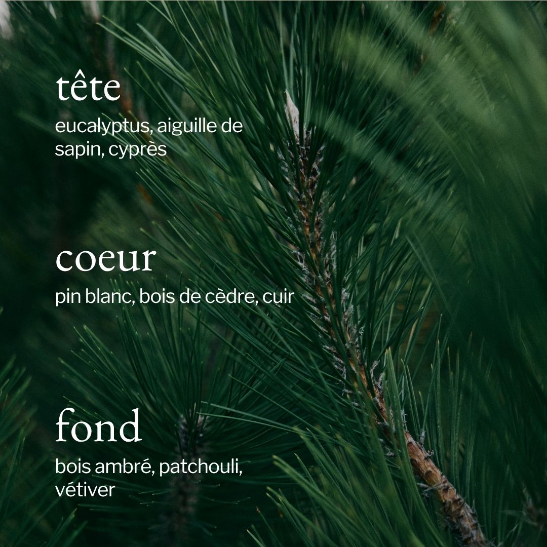 Bain moussant | Épinette + Vétiver - SOJA&CO.
