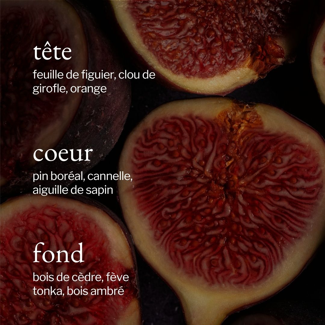 Bruine d'ambiance | Figue + Pin boréal - SOJA&CO.