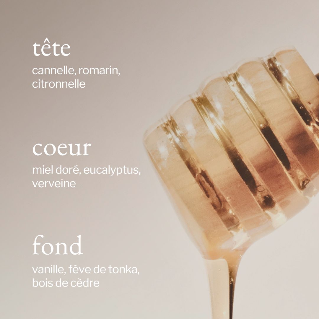 Bougie | Miel doré + Tonka