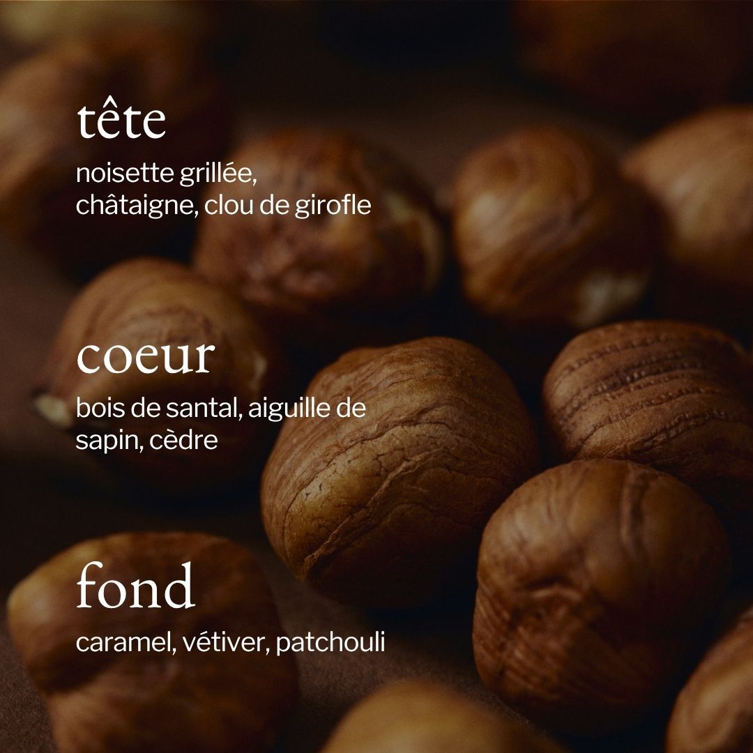 Diffuseur à roseaux | Noisette, Sapin & Suède - SOJA&CO.