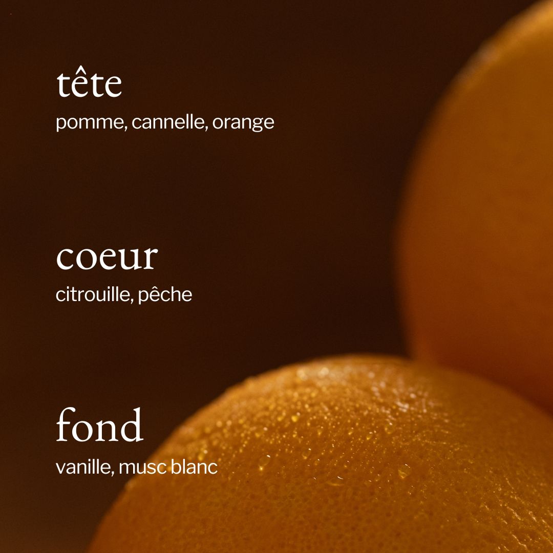 Diffuseur à roseaux | Pomme, Citrouille &amp; Orange