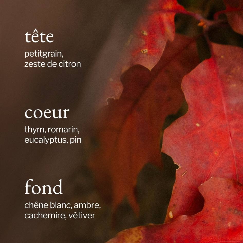 Diffuseur à roseaux | Ambre + Chêne - SOJA&CO.®