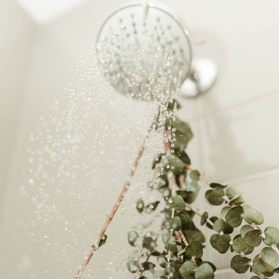 Bouquet d&#39;eucalyptus séché - SOJA&amp;CO. ™